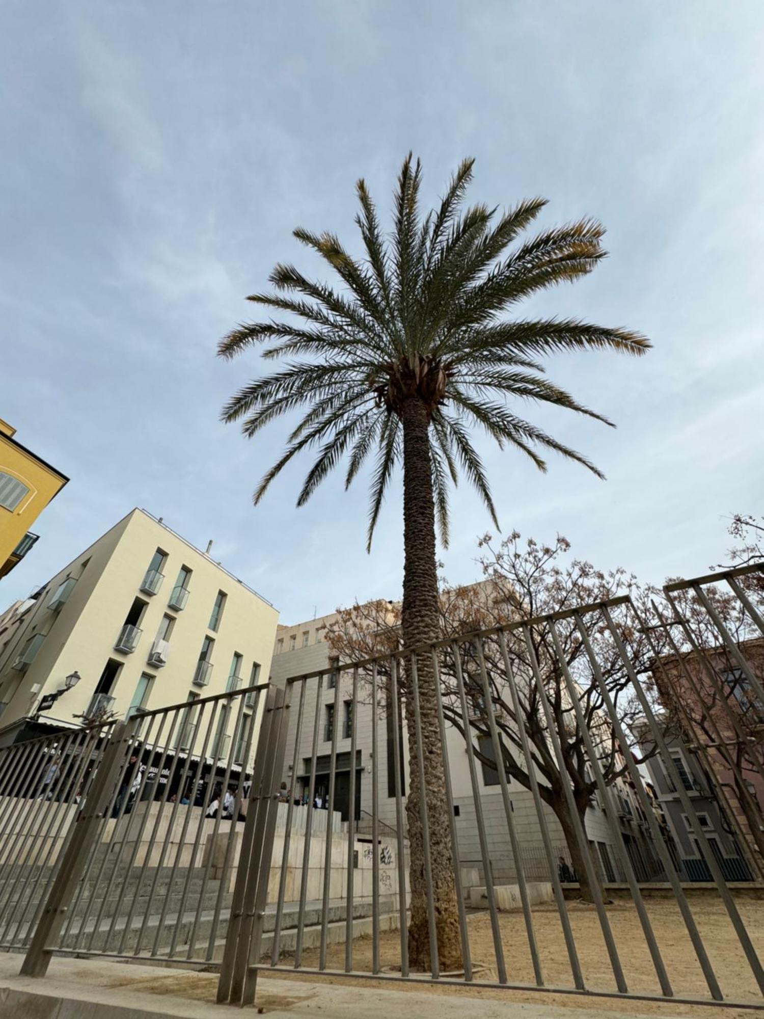 Nuevo Casco Antiguo, Playa Y Castillo Αλικάντε Εξωτερικό φωτογραφία